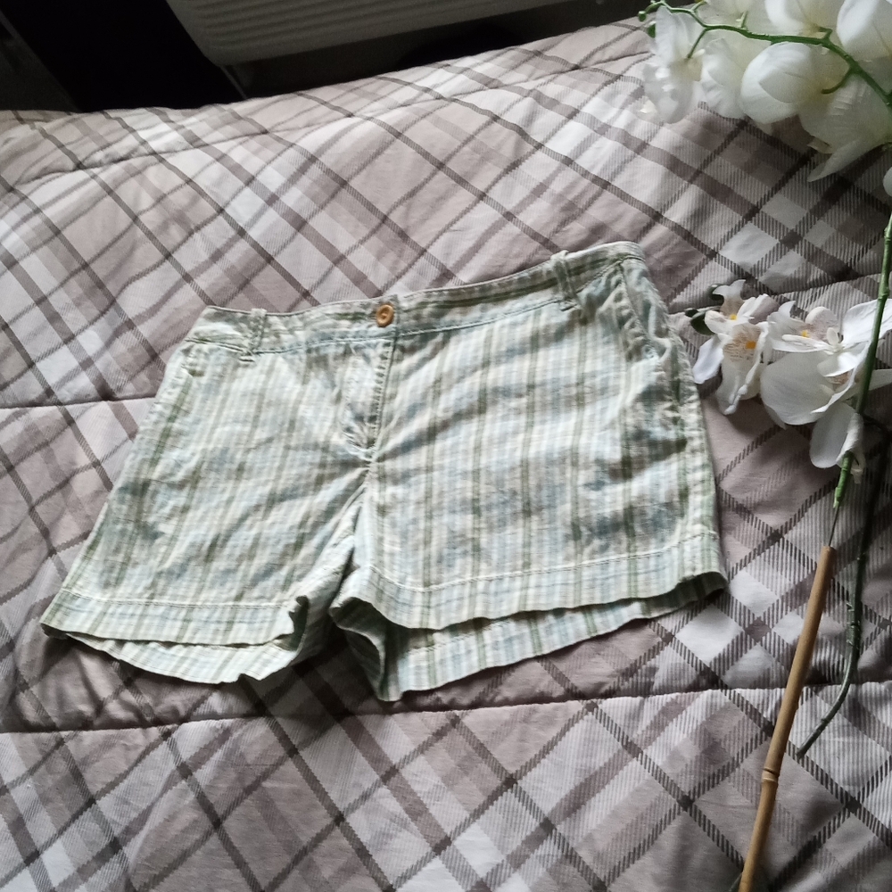 Light Green Striped Women’s Shorts